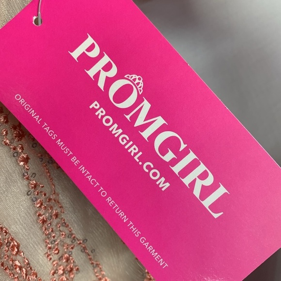 Minuet Pink Embroidered Silver Sequin Formal Dress - Picture 5 of 11